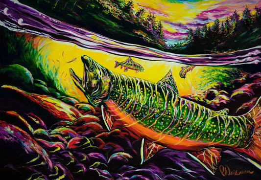 South Branch Brookie