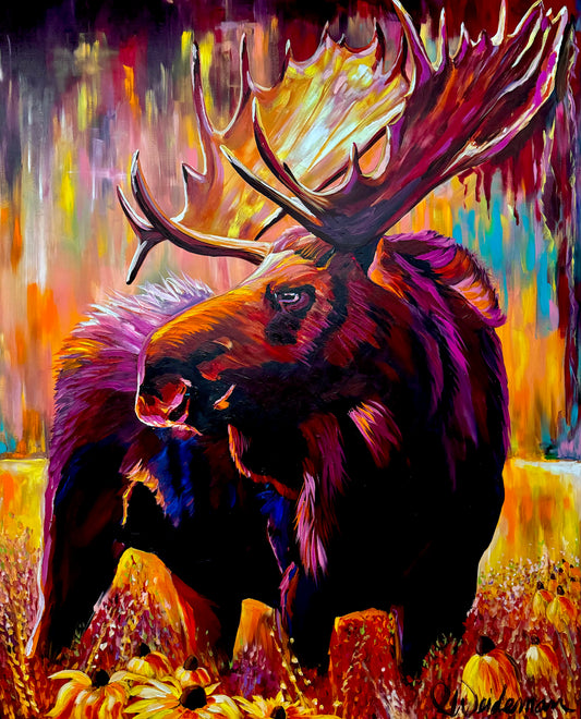 Moose in The Black Eyed Susans